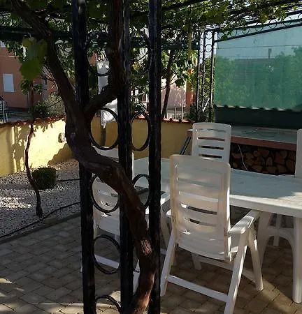 Antolkovic Apartment